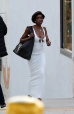 CHELSEA LAZKANI at a Photoshoot in Los Angeles 04/04/2024