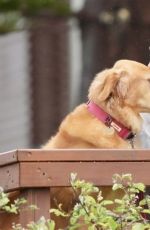 EDEN HARPER Out with Her Dog at Gold Coast 04/05/2024