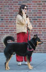 EMILY RATAJKOWSKI Out and About in New York 04/15/2024