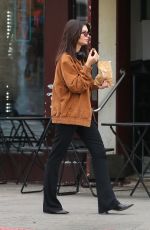 EMILY RATAJKOWSKI Out in New York 04/10/2024