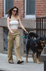 EMILY RATAJKOWSKI Out with Her Dog in New York 04/14/2024