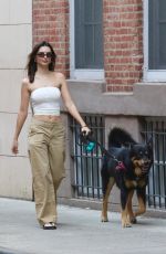 EMILY RATAJKOWSKI Out with Her Dog in New York 04/14/2024