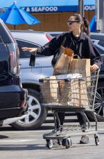 GAL GADOT Out Shopping at Gelson