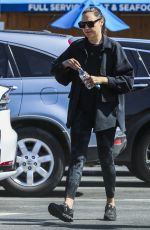 GAL GADOT Out Shopping at Gelson