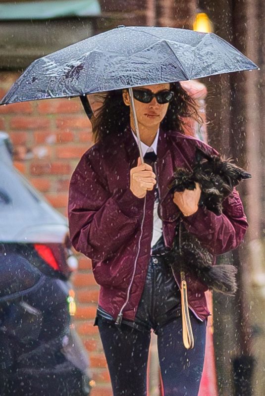 IRINA SHAYK Ourt with Her Dog Under the Rain in New York 04/03/2024