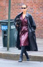 IRINA SHAYK Out with Her Dog in New York 04/20/2024