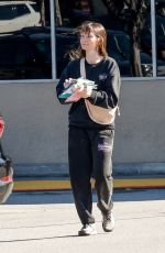 LAUREN PARSEKIAN Out Shopping at Albertsons in Los Feliz 04/01/2024