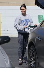 LAUREN PARSEKIAN Out Shopping for Grocery in Los Feliz 04/29/2024