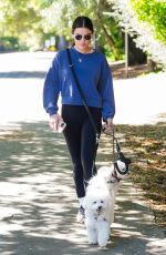 LUCY HALE Out with Her Dogs in Studio City 04/01/2024