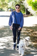 LUCY HALE Out with Her Dogs in Studio City 04/01/2024