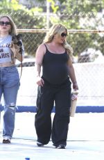 Pregnant HILARY DUFF Out Hikinig with Friends in Los Angeles 04/22/2024