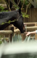 REESE WITHERSPOON Taking Selfies with Local Horses in Los Angeles 04/16/2024