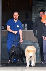 RENEE ZELLWEGER Taking Her Dogs to Vet 04/13/2024