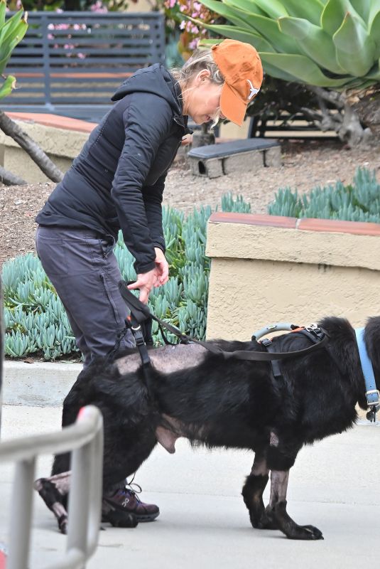 RENEE ZELLWEGER Taking Her Dogs to Vet 04/13/2024