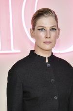 ROSAMUND PIKE at Dior Fall 2024 Fashion Show in New York 04/15/2024