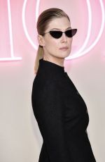 ROSAMUND PIKE at Dior Fall 2024 Fashion Show in New York 04/15/2024