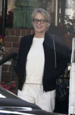 SHARON STONE Leaves The Ivy with Her Son in Beverly Hills 04/17/2024
