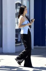 SHNINA SHAIK Heading to a Meeting in Los Angeles 03/08/2024