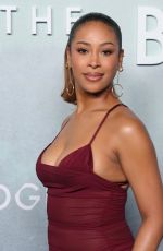 SKYE TOWNSEND at Under the Bridge Premiere at DGA Theater in Los Angeles 04/15/2024
