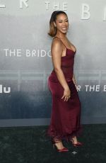 SKYE TOWNSEND at Under the Bridge Premiere at DGA Theater in Los Angeles 04/15/2024