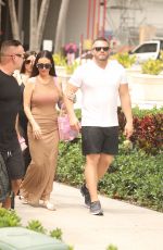 The Jersey Shore Cast Reunited in Miami Should do a Reality Show 04/04/2024