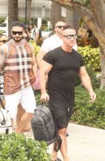 The Jersey Shore Cast Reunited in Miami Should do a Reality Show 04/04/2024