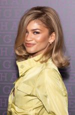 ZENDAYA at Challengers Photocall in Paris 04/06/2024