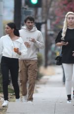 AMANDA BYNES Out and About in West Hollywood 05/21/2024