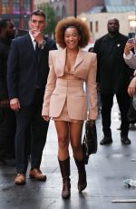 AMANDLA STENBERG Arrives at Disney Upfront Afterparty at Soho House in New York 05/14/2024