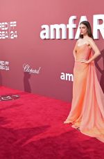 BARBARA PALVIN at Amfar Gala Cannes 2024 in Cap d