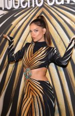 BARBARA PALVIN at Roberto Cavalli Exclusive Dinner & Delectable Party in Cannes 05/19/2024