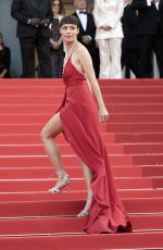 BERENICE BEJO at The Most Precious of Cargoes Premiere at 77th Cannes Film Festival 05/24/2024