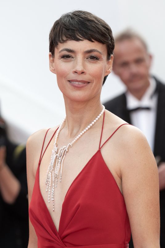 BERENICE BEJO at The Most Precious of Cargoes Premiere at 77th Cannes Film Festival 05/24/2024
