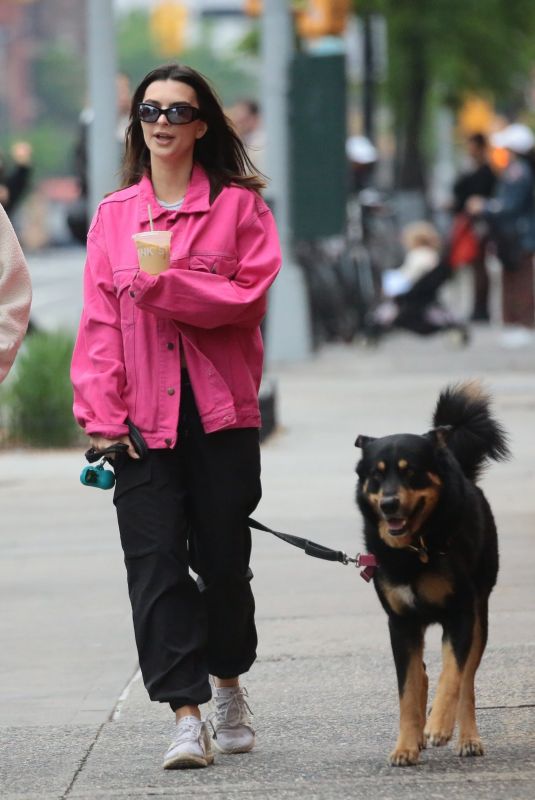 EMILY RATAJKOWSKI Out with Her Dog Colombo and a Friend in New York 05/13/2024