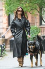EMILY RATAJKOWSKI Out with Her Dog Colombo in New York 05/16/2024