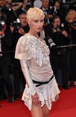 IRIS LAW at The Shrouds Premiere at 77th Cannes Film Festival 05/20/2024