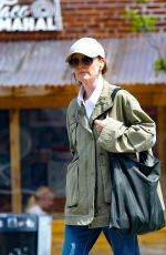 JULIANNE MOORE Out and About in New York 04/30/2024
