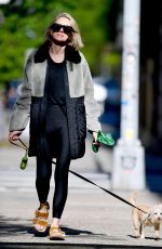 NAOMI WATTS Out for a Dog Walk in New York 05/11/2024