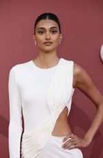 NEELAM GILL at amfAR Gala at 77th Cannes Film Festival 05/23/2024
