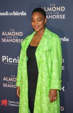 RACHEL ADEDEJI at The Almond and the Seahorse Premiere in London 04/30/2024