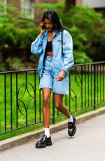 SIMONE ASHLEY Out and About in New York 05/13/2024