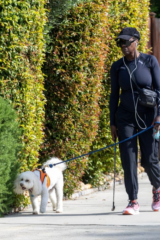 VIOLA DAVIS Out with Her Dog in Toluca Lake 05/13/2024