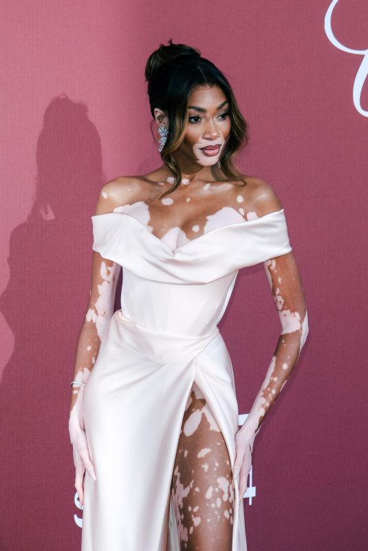 WINNIE HARLOW at amfAR Gala at 77th Cannes Film Festival 05/23/2024