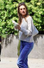 ALESSANDRA AMBROSIO Leaves a Hair Salon in West Hollywood 06/12/2024