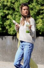 ALESSANDRA AMBROSIO Leaves a Hair Salon in West Hollywood 06/12/2024