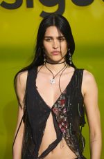 AMELIA HAMLIN at Desigual Fashion Show Photocall in Barcelona 06/06/2024