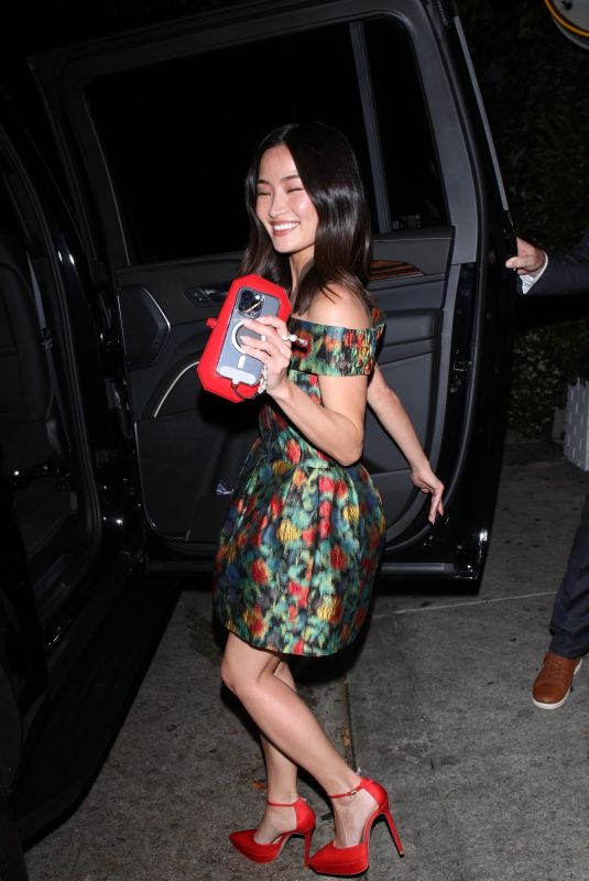ANNA SAWAI Leaves Chateau Marmont After Celebrating Her 32nd Birthday in Los Angeles 06/11/2024