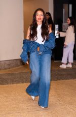 ARIANA GREEN BLATT in Double Denim Out in New York 05/30/2024
