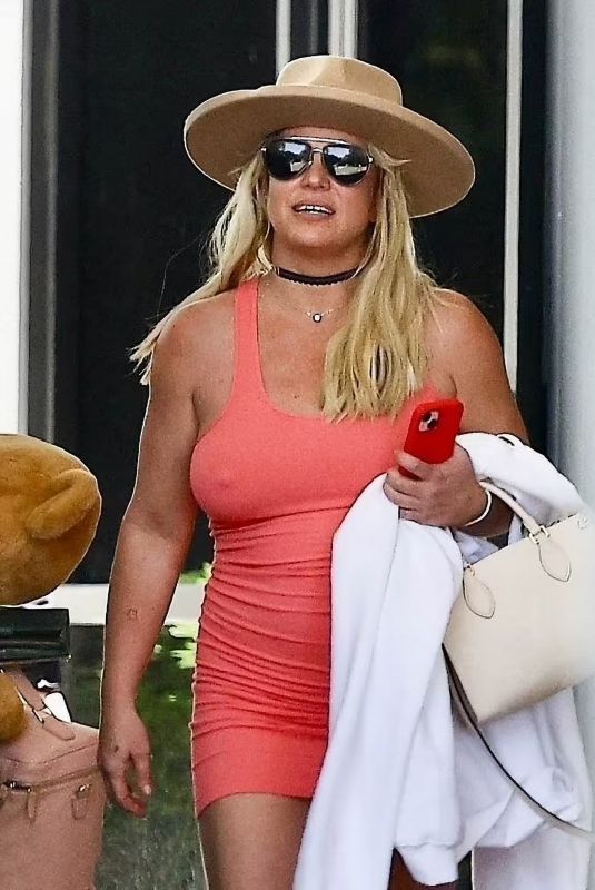 BROTNEY SPEARS Arrives at Van Nuys AirPort in Los Angeles 06/24/2024