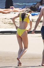 DAKOTA JOHNSON in a Blue Bikini at a Beach in Malibu 06/23/2024